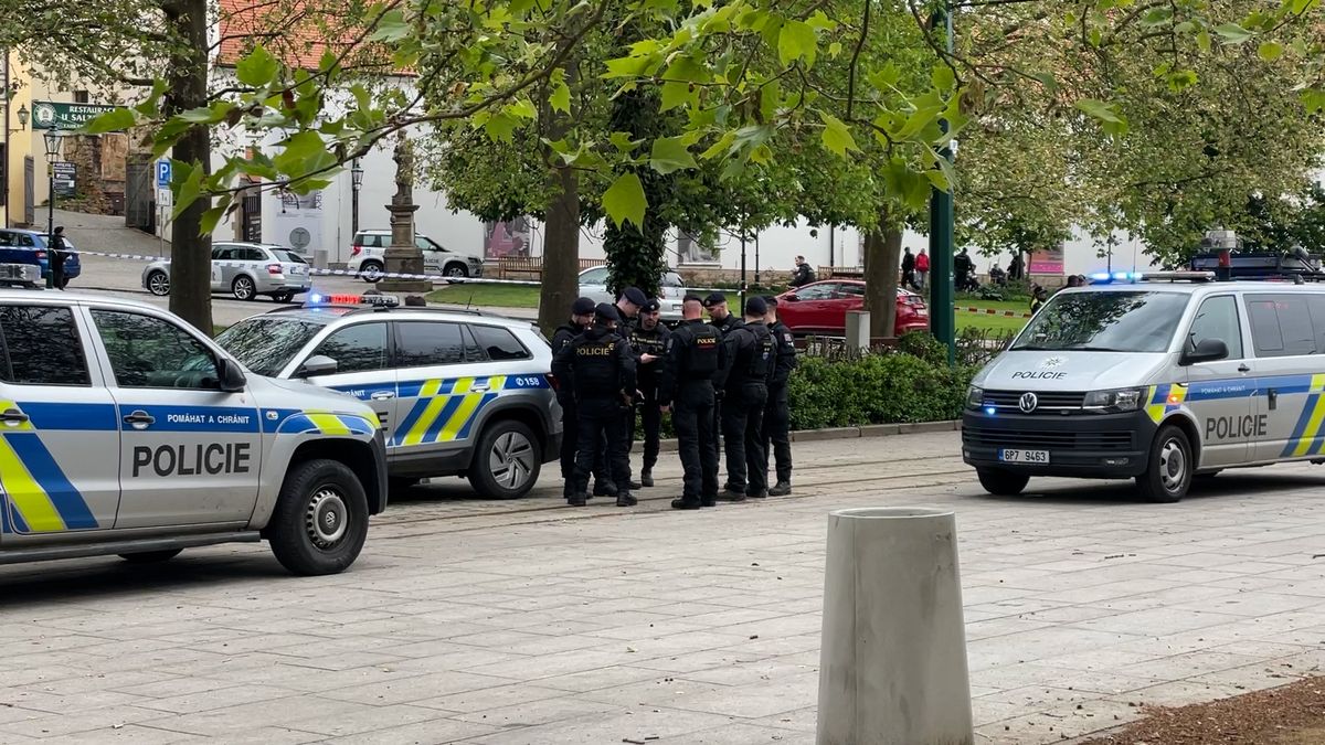 Ženu v centru Plzně zřejmě ubodal její přítel, policie ho zadržela